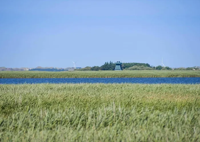 C11754-hemmet-vester-faelled-96-c4 Prázdninový dům *